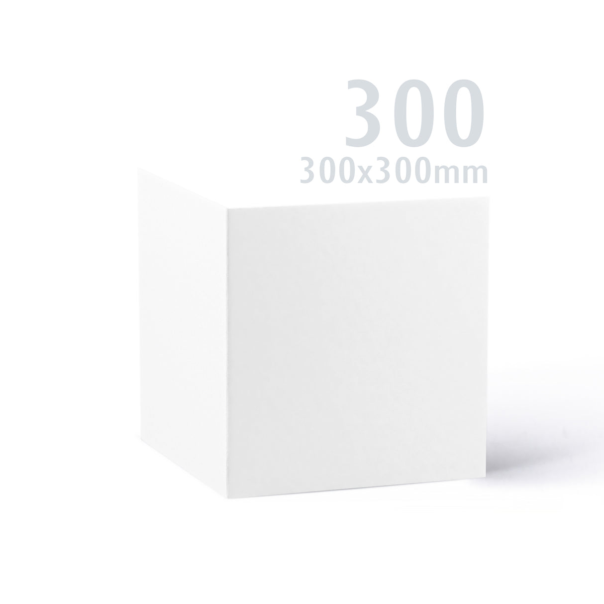 300x300 Bela Premier kartica 250 g/m² paket