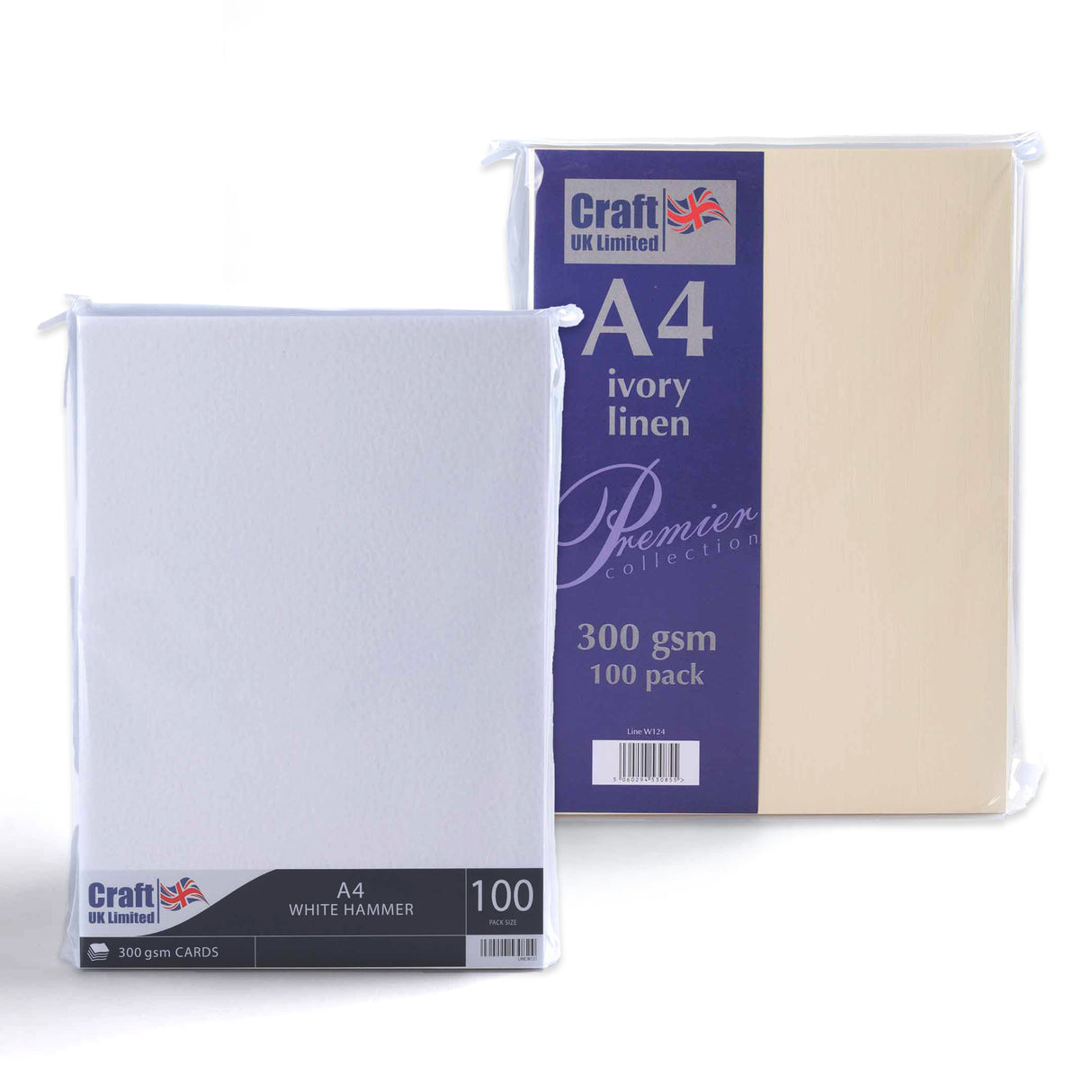 Kartica 300 g/m² paket 100 kosov
