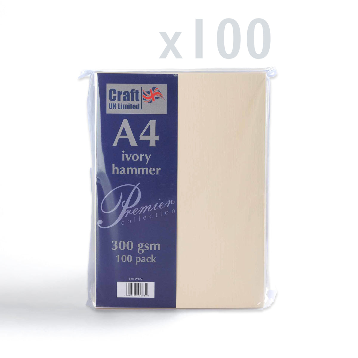 Kartica 300 g/m² paket 100 kosov