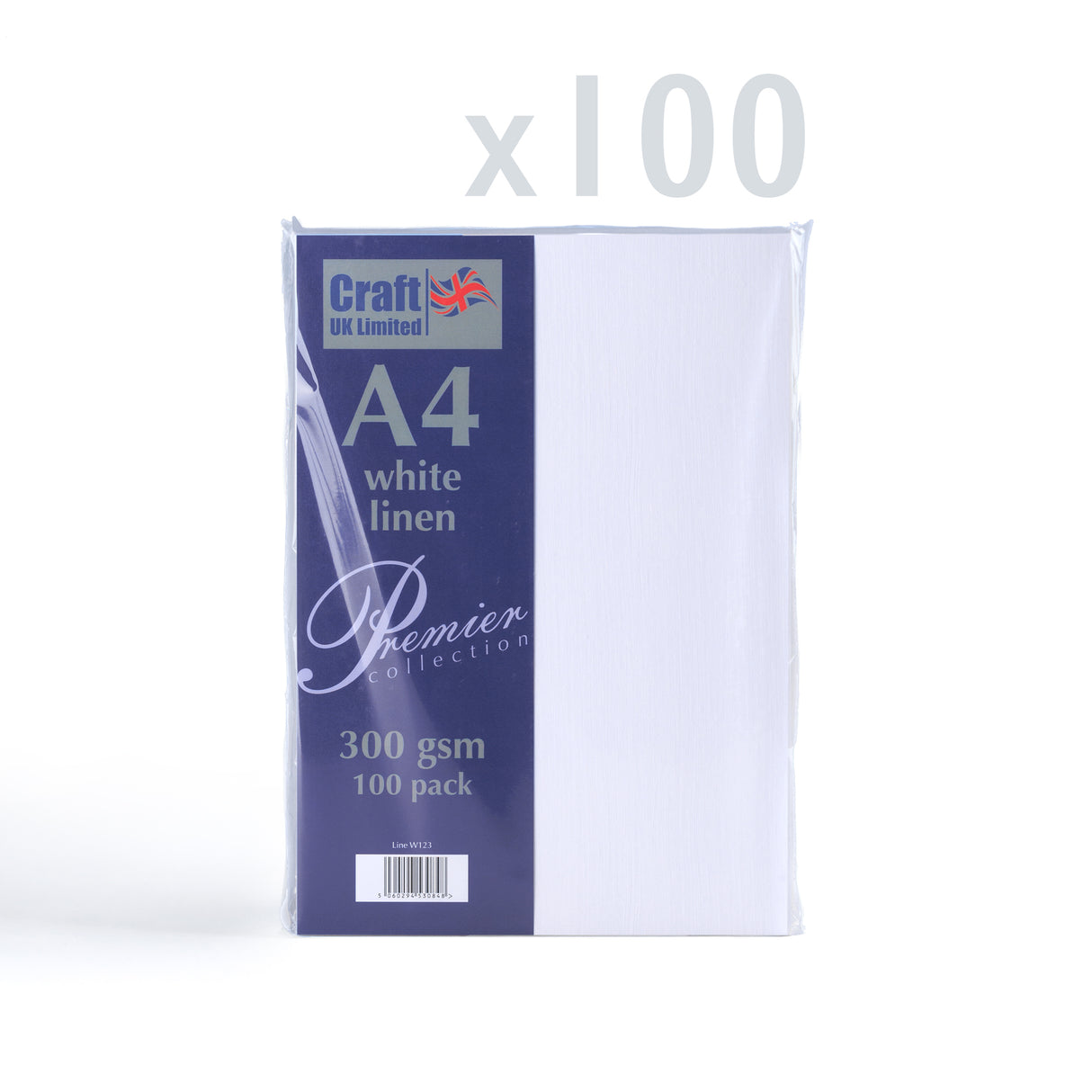 Kartica 300 g/m² paket 100 kosov