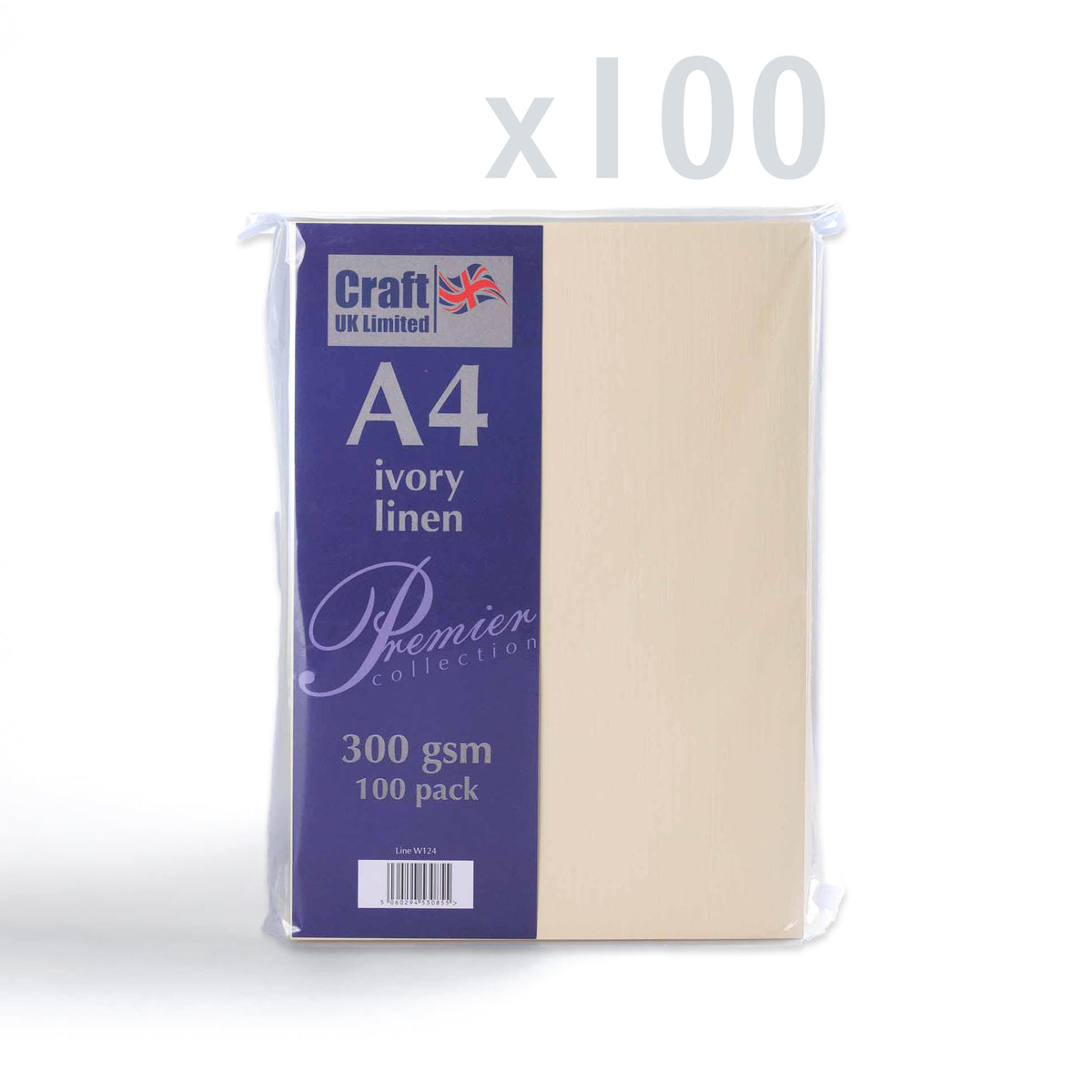 Kartica 300 g/m² paket 100 kosov