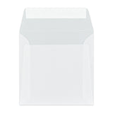 Barvne Prosojne ovojnice