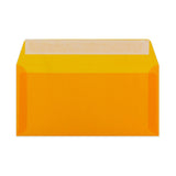 Barvne Prosojne ovojnice