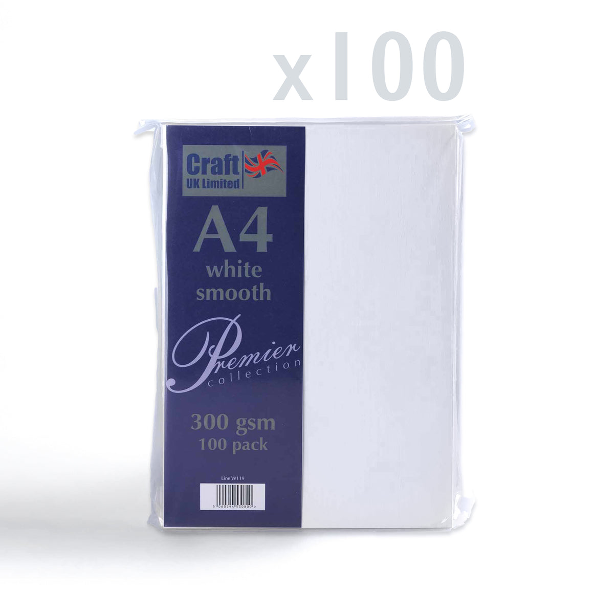 Kartica 300 g/m² paket 100 kosov