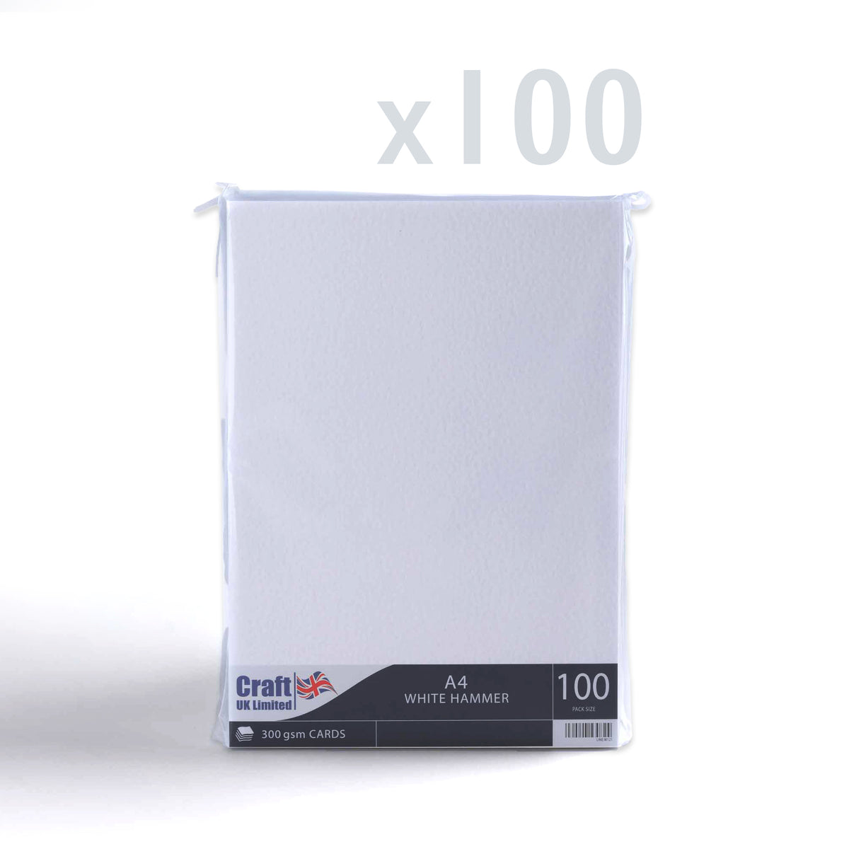 Kartica 300 g/m² paket 100 kosov