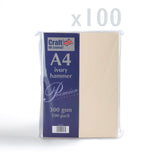 Kartica 300 g/m² paket 100 kosov