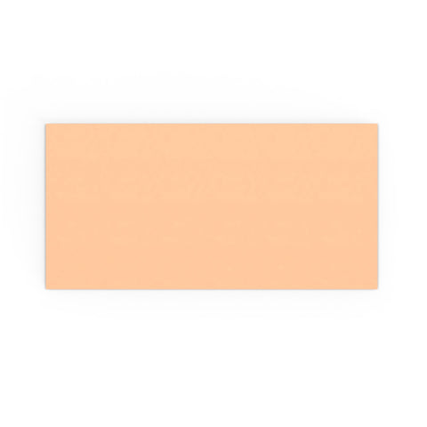 DL Salmon Pink Gummed V-Flap Envelope (110 x 220mm)