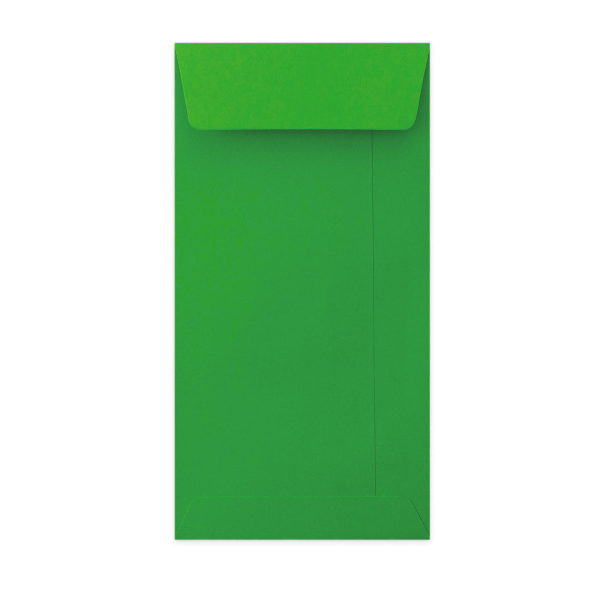 220x110mm Zelena lupina in tesnilni žep 110gsm ovojnica