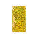 Holographic Finish Foil Bags Holographic Gold 229 x 114 mm (DL)